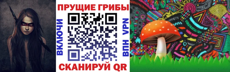 Псилоцибиновые грибы GOLDEN TEACHER  купить наркотик  Ленинск-Кузнецкий 